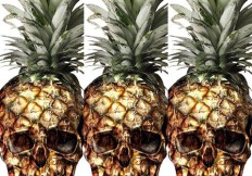 pineapple-skull-232x162